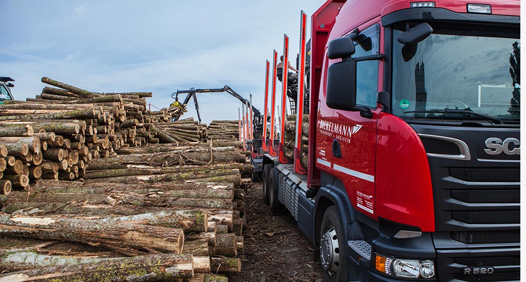 Eickelmann Rundholzbeladung Eickelmann Rundholzbeladung