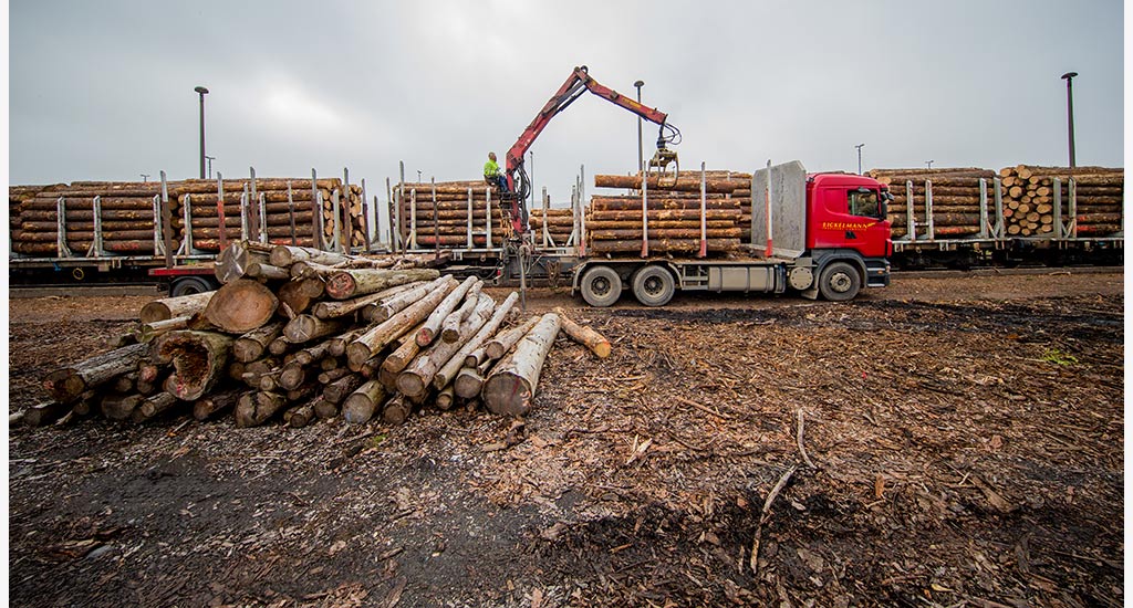 Eickelmann Zugbeladung Eickelmann Zugbeladung