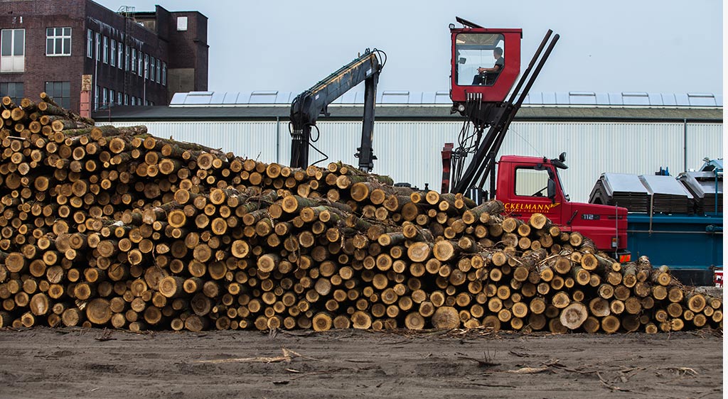 Eickelmann Rundholzbeladung Eickelmann Rundholzbeladung