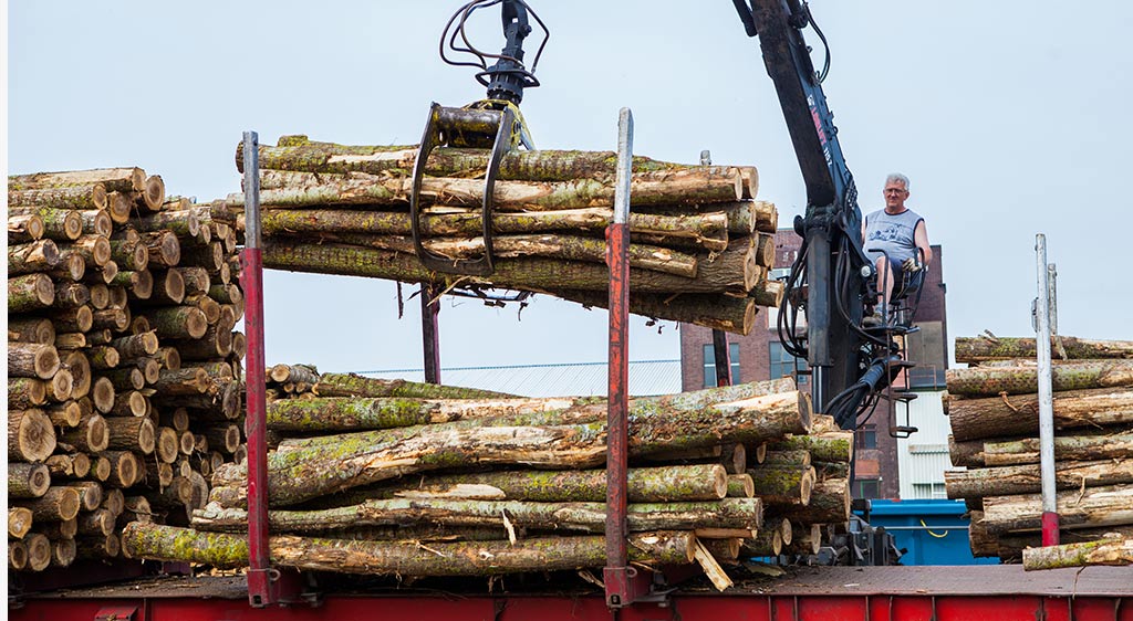 Eickelmann Güterzugbeladung Rundholz Eickelmann Güterzugbeladung Rundholz