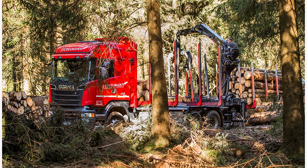 Eickelmann Rundholzbeladung Eickelmann Rundholzbeladung