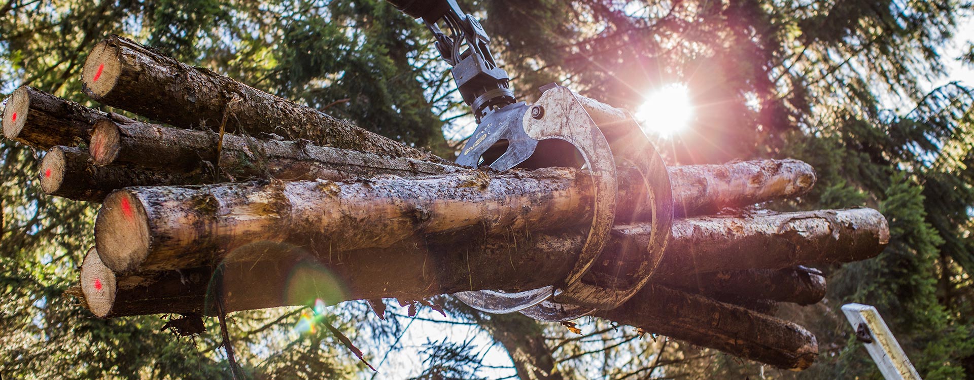 Eickelmann Rundholzbeladung Eickelmann Rundholzbeladung